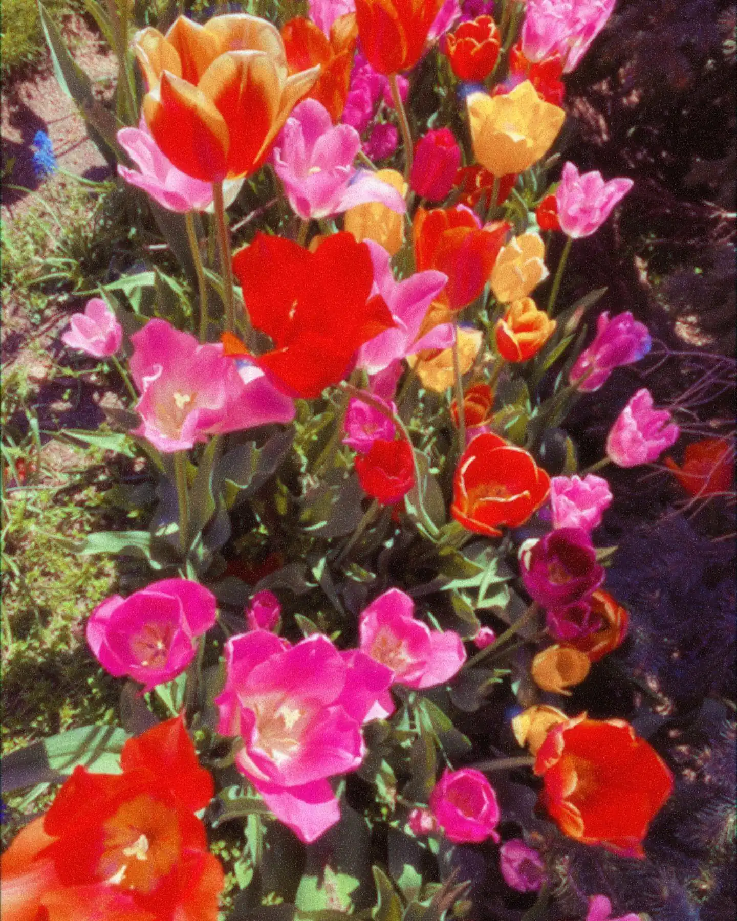 Instagram - 3.webp