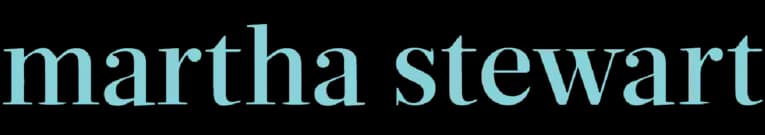 Partner logo 6